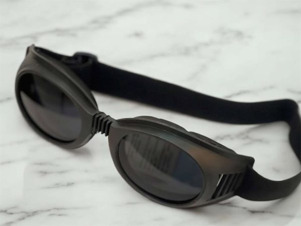 safty glasses